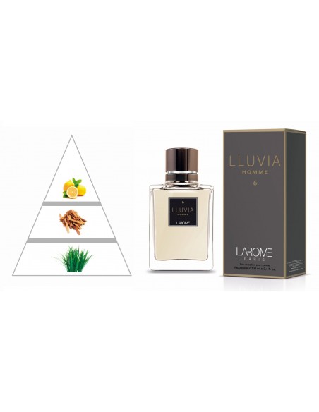 LLUVIA HOMME by LAROME (6M) Perfume Masculino - Pirámide olfativa