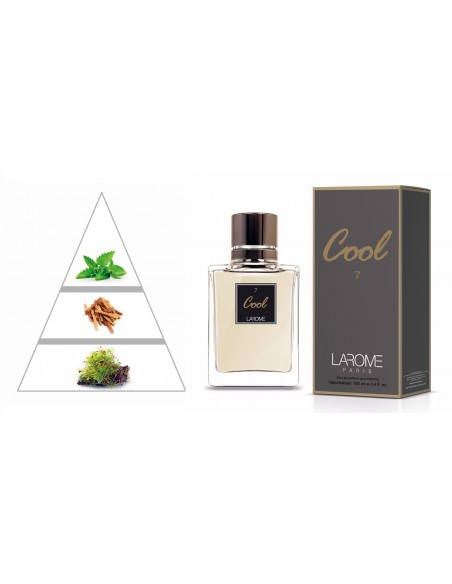 COOL by LAROME (7M) Parfum Homme - Pyramide olfactive