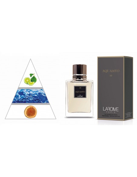 AQUADIYO by LAROME (10M) Parfum Homme - Pyramide olfactive