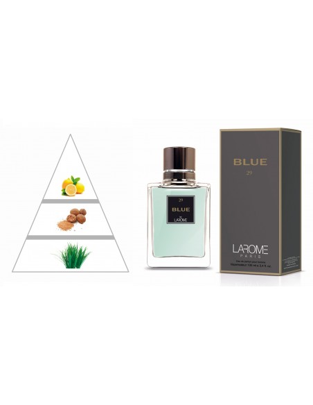 BLUE by LAROME (29M) Perfume for Man - Olfactory pyramid