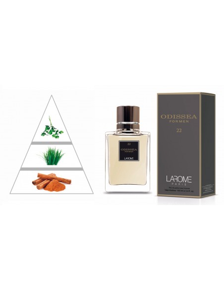 ODISSEA FOR MEN by LAROME (22M) Perfume Masculino - Pirâmide olfatória