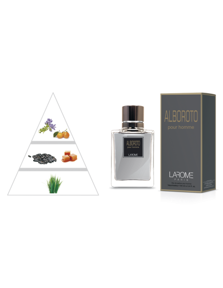 ALBOROTO POUR HOMME by LAROME (41M) Perfume Masculino - Piramide