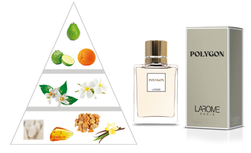POLYGON by LAROME (95F) Pyramide Olfactive Parfum Féminin