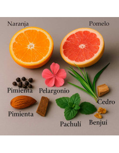 TERROSO by LAROME (31M) Perfume Masculino 2