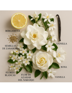 Snow Light de LAROME: a essência luminosa e fresca inspirada em Soleil Neige. 2