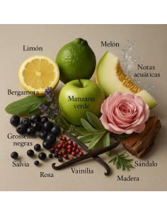 Anisette by Larome – Profumo di nicchia aromatico agrumato, 100 ml. 2