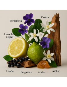 Mistique by LAROME Perfume Unisex 100 ml Bal D'afrique de Byredo 2