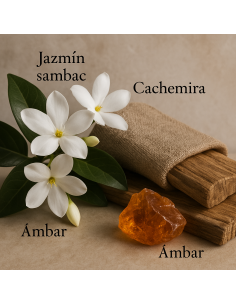 ALIENCE by LAROME (73F) Perfume Femenino 2